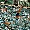 Polo_066.jpg