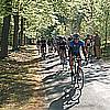 DSC_0033.jpg