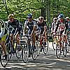 DSC_0033.jpg