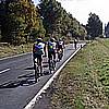 EIfel0053.jpg