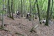 EIfel09_046.jpg