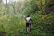 EIfel09_093.jpg