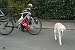 EIfel09_250.JPG