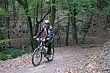 EIfel09_364.jpg