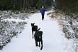 P1090501.jpg