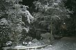 P1090721.jpg