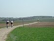 N088.JPG