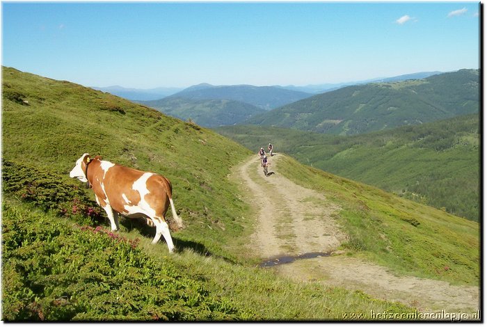 03_TransAlp_086.JPG