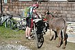 03_TransAlp_011.JPG
