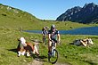 03_TransAlp_013.JPG