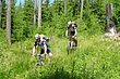 03_TransAlp_051.JPG