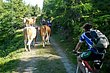 03_TransAlp_080.JPG