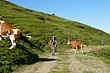 03_TransAlp_083.JPG