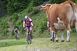 05_TransAlp_061.JPG