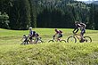 07_TransAlp_081.JPG