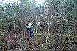 P1150660.JPG
