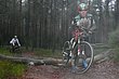 P1150747.JPG