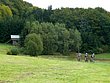 Eifel12_3_054.JPG