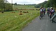 Eifel12_4_114.JPG