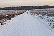 P1020859.JPG