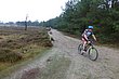 P1040098.JPG