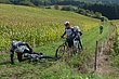 P1050571.JPG