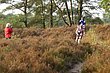 vtt2013_005.JPG