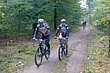 vtt2013_010.JPG