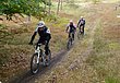 vtt2013_055.JPG