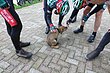 P1080017.JPG