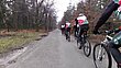 13216_08.jpg