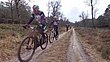 13216_30.jpg