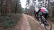 13216_33.jpg