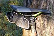 WD-Boerenkool0020.JPG