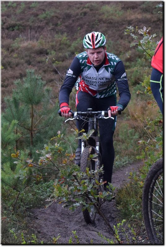 HZL_VTT_17_050.JPG