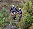 HZL_VTT_17_031.JPG