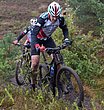 HZL_VTT_17_035.JPG