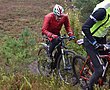 HZL_VTT_17_046.JPG