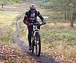 HZL_VTT_17_080.JPG