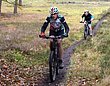 HZL_VTT_17_089.JPG