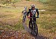 HZL_VTT_17_100.JPG