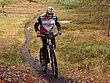 HZL_VTT_17_106.JPG