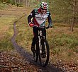 HZL_VTT_17_107.JPG