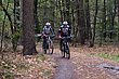 HZL_VTT_17_110.JPG