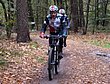 HZL_VTT_17_111.JPG