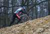 Foto&acute;s van Sander